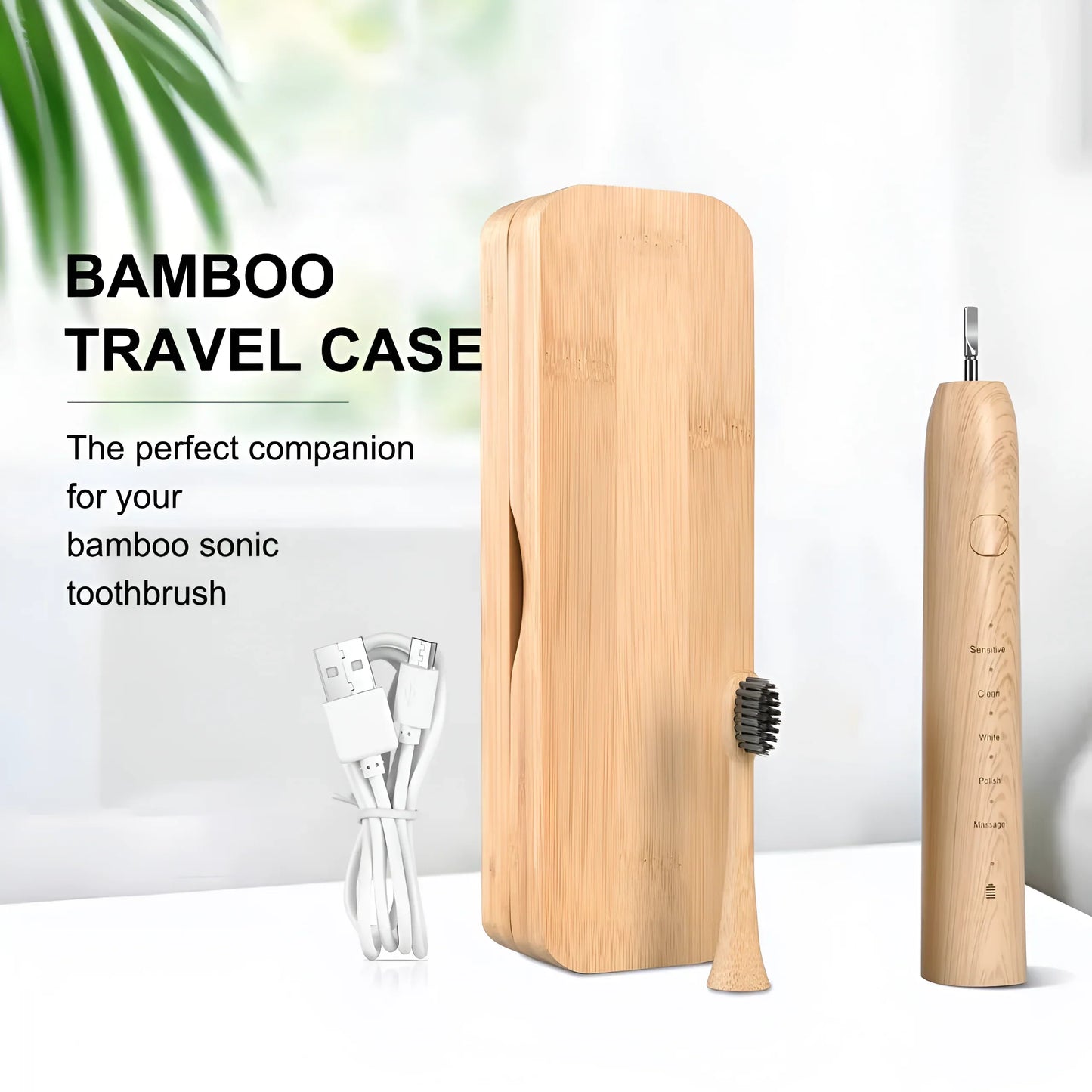 Bamboo Electric Toothbrush Kit with USB charging cable and its case
