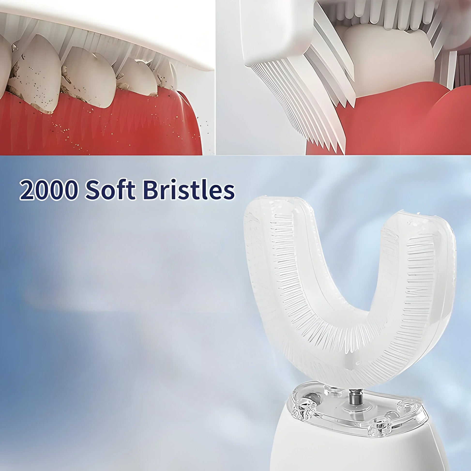 Replacement Head: U-shaped Electric Toothbrush - Comari