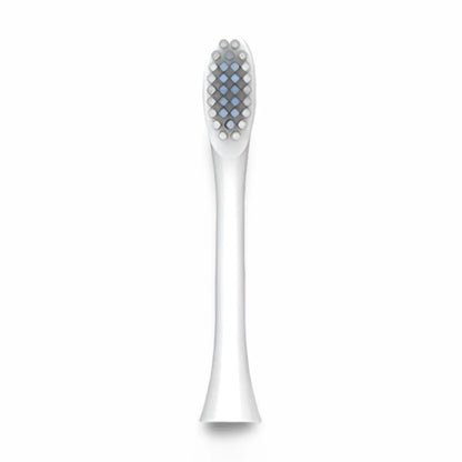 Replacement Heads: Electric Toothbrush - Comari Oral Care 